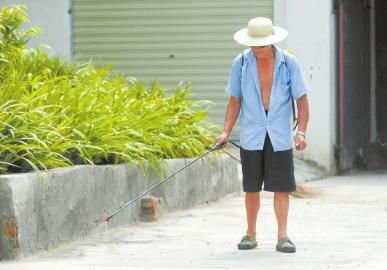 上万毛虫“攻城”居民躲进网吧过夜