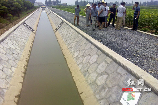 田、水、路整治修建，湖南环洞庭湖基本农田建设让农民受益。