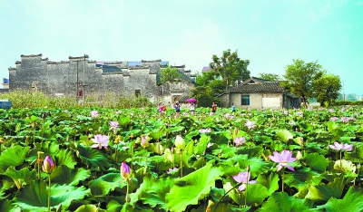 浦市镇人口_湖南湘西小县,全县总人口32万,少数民族就有20万