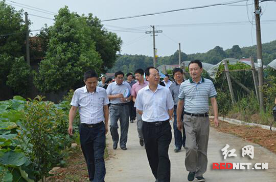 湖南省农开办主任李丙力带队赴临澧县调研。