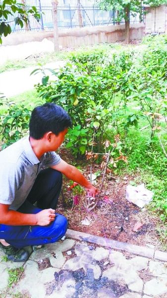 23岁小伙被同学骗进传销陷阱 凌晨从5楼坠亡