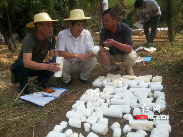 市县地质专家在三阁司镇葫芦冲村目测方解石矿体样本和采集数据