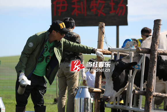 吴镇宇