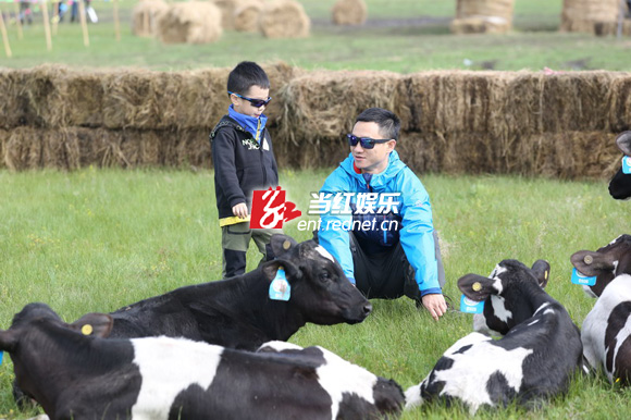 杨威和杨阳洋