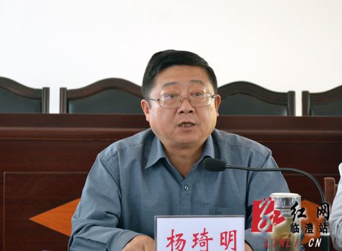 临澧县委书记杨琦明指导青林村党支部专题组织