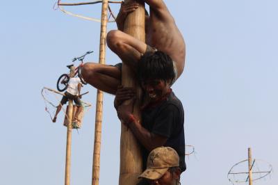 参加者都使出浑身解数抱紧树干，甚至踩着他人头顶拾“级”而上。