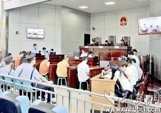 湖北孝感前政协委员涉黑被公审 拥有上亿资产