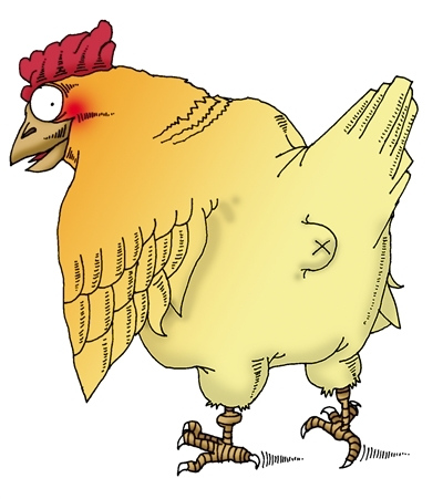 资料图：鸡。来源：互联网。