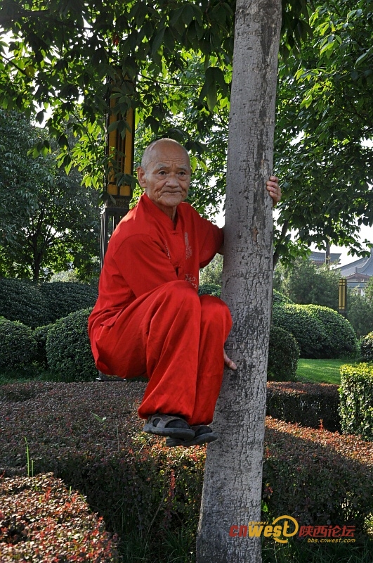 70岁练“二指禅” 78岁一身功夫雁塔南广场引围观（我爱蓝天 摄影）