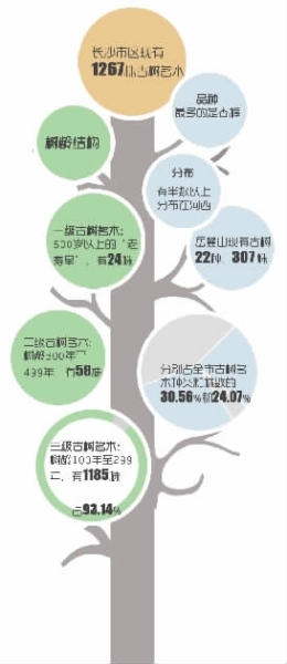    ■制图/杨诚