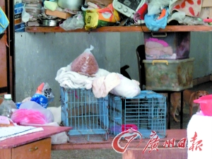 出租屋的一角凌乱地堆放着猫狗粮及各种杂物。