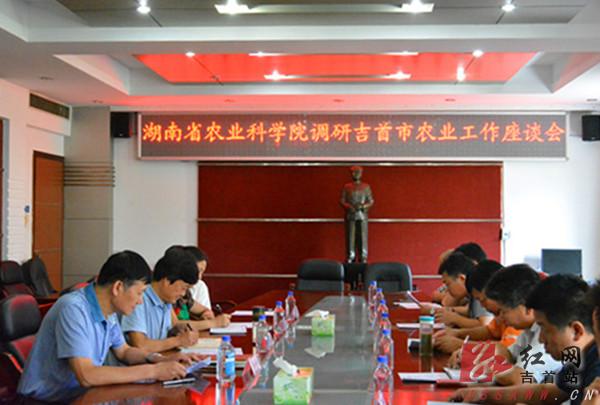 湖南省农业科学院调研吉首农业产业发展情况