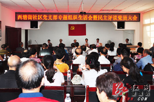 沙望城区委书记谭小平指导西塘街社区专题组织生活会