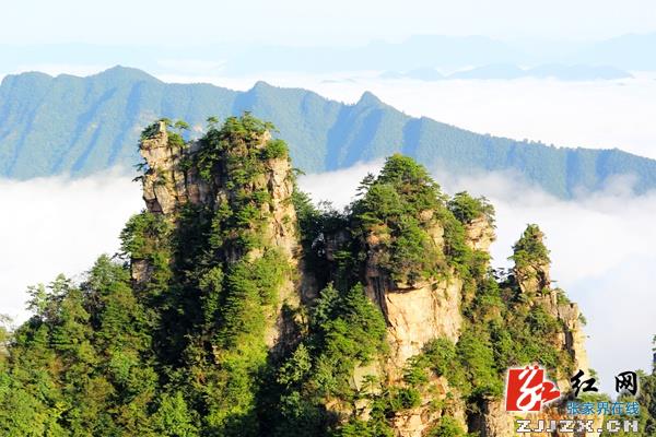 张家界天子山秋日云海美景醉游人