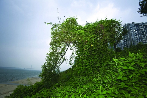huangj1409166_nEO_IMG.jpg
