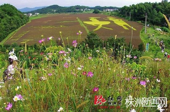 罗网2