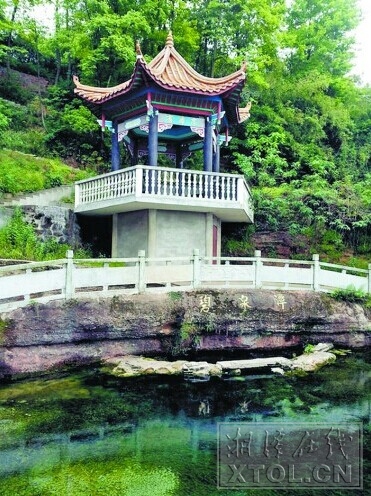 这里是“吉娃娃”的老家