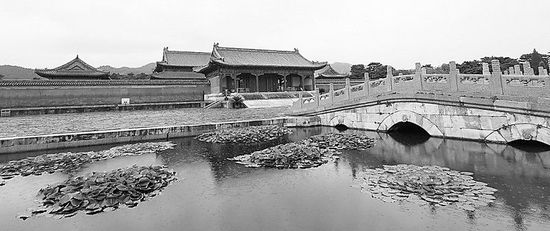 本报记者闫漪/文 本报记者陈洁/图