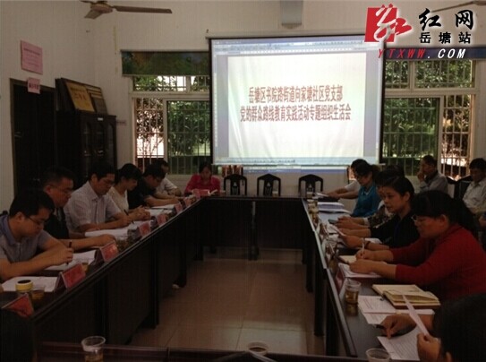 张建平一行专程到向家塘社区指导组织生活会