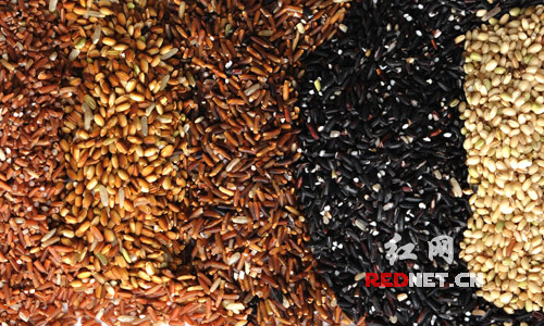 从左到右，依次为红、黄、紫、黑、绿五种颜色的糙米。