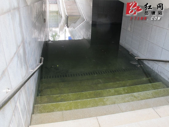 福星中路地下通道再积水 市城建投:已彻底解决