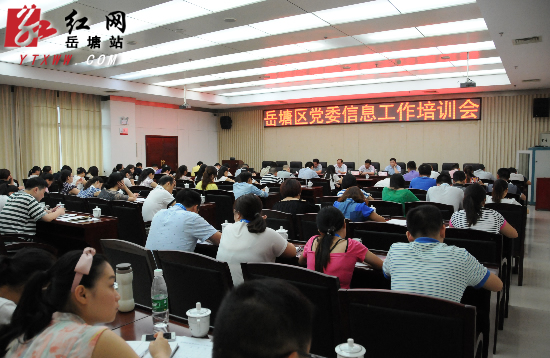 岳塘区党委信息工作培训会召开