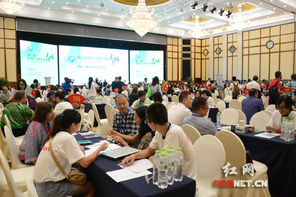 9月13日，第八届中国—拉美企业家高峰会举行企业对口洽谈会。）