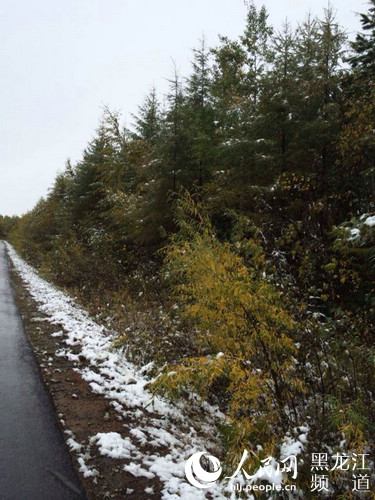 9月15日，祖国最北端的黑龙江省漠河迎来今秋首场降雪。