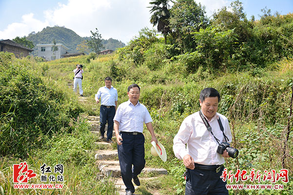 姜世星深入乡镇调研指导文化旅游产业发展工作