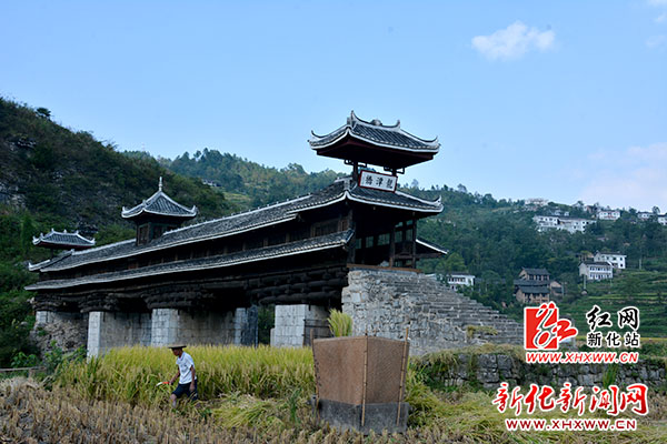 姜世星深入乡镇调研指导文化旅游产业发展工作