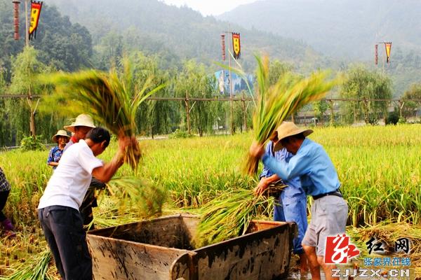 游客盛赞黄龙洞景区农耕文化