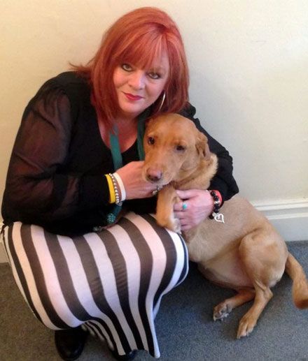 宠物狗成医生嗅出主人患癌助其早就诊(图)