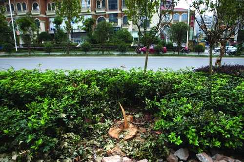 huangj14091801_nEO_IMG.jpg