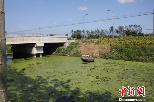 江苏射阳一轿车深夜栽入河中 车内7人全部遇难
