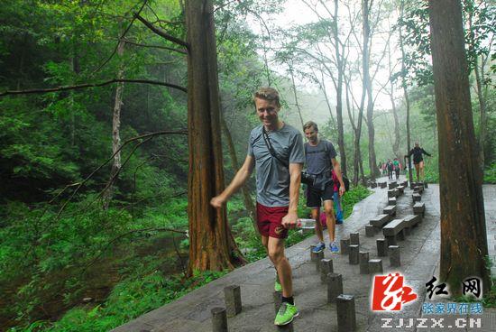 【黄金周看点】“十一”黄金周首日 张家界国家森林公园旅游接待秩序井然