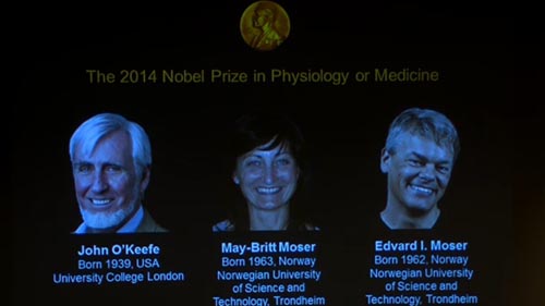2014年诺贝尔生理医学奖颁布 热门华裔人选钱泽南未获奖
