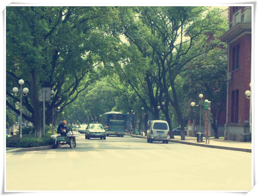 长沙最美的8条马路 也许你曾匆匆走过