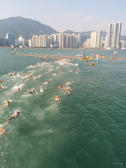 香港维多利亚港渡海泳12日上午展开。图自香港电台