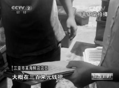 视频截图