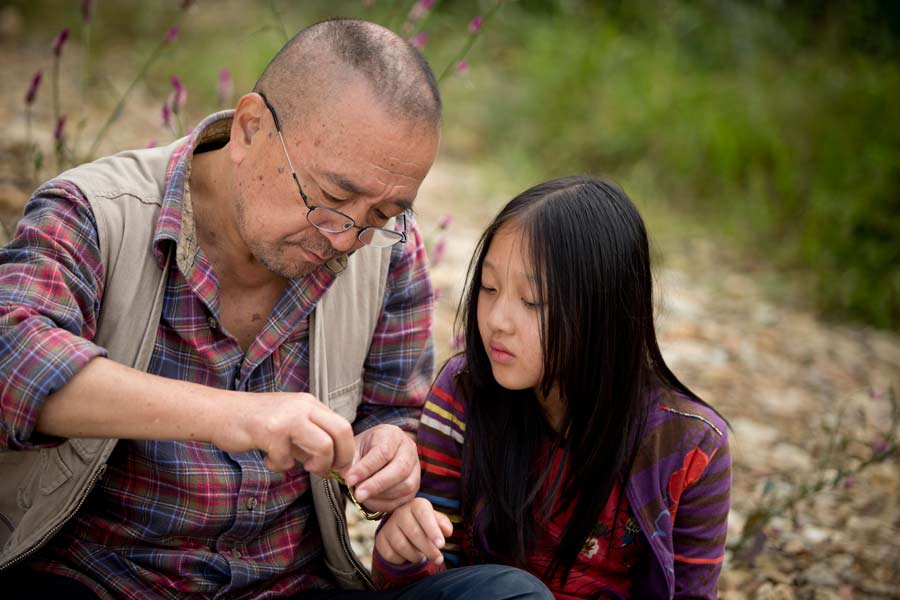 《夜莺》李保田、杨心仪祖孙童趣捉蚂蚱