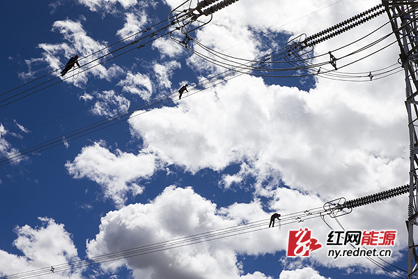 【川藏联网湖南援建】湘电监理敢干敢抓敢管勇