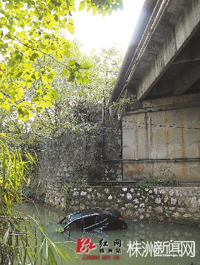 小车坠落枫溪港 记者 张媛 实习生 夏湘鹏 摄