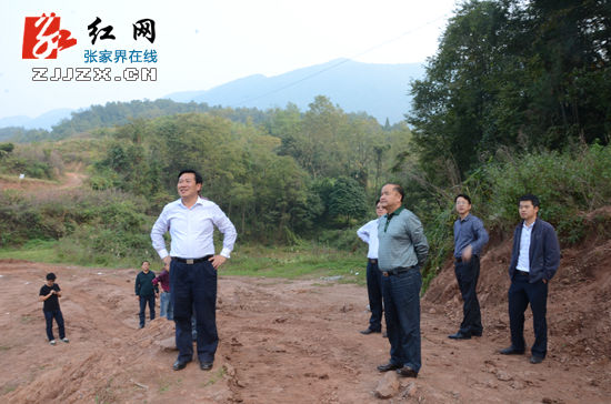 张家界市专项督查桑植中央预算内投资未开工项目