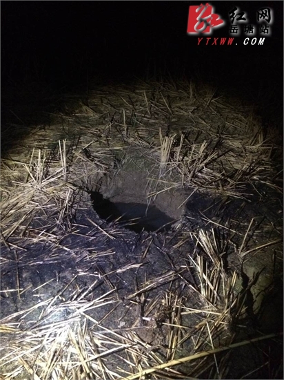 荷塘乡农田中惊现3米“深坑” 专家:正常地质现象