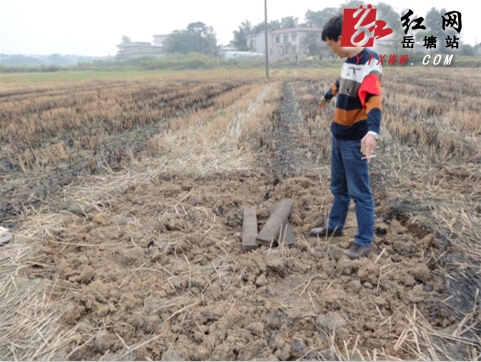 荷塘乡农田中惊现3米“深坑” 专家:正常地质现象