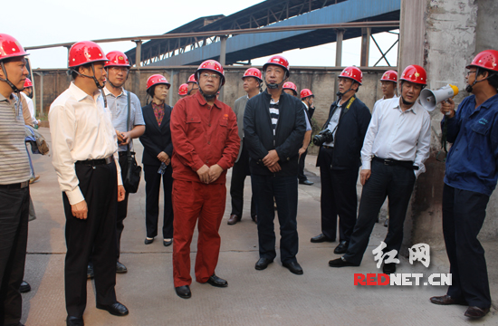 湖南省人大常委会秘书长彭宪法带队检查组抽查企业大气污染防治情况。
