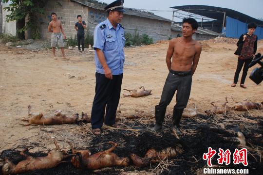 柳州市柳南区城管执法人员对前来烧狗的人员进行批评教育。　韦德盛　摄