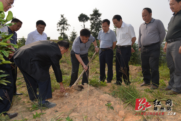 湖南省农业委员会主任刘宗林抵靖考察现代农业