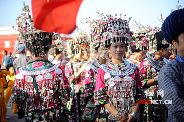 壮族人口减少_大方县的人口民族(2)