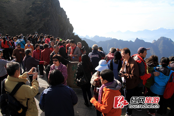 游客拿出照相机，拍下神农顶景区秋景。